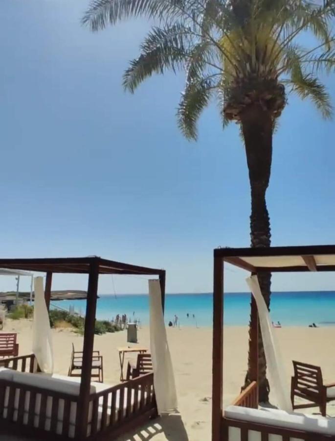 Nissi Golden Sands Sea View 2 Bedroom Apartment Ayia Napa Ngoại thất bức ảnh